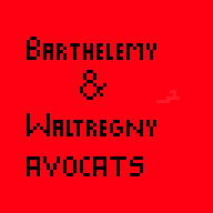 Barthelemy & Waltregny avocats